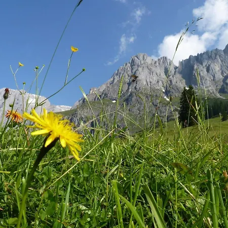 Luxurious Near Ski Area Lejlighed *